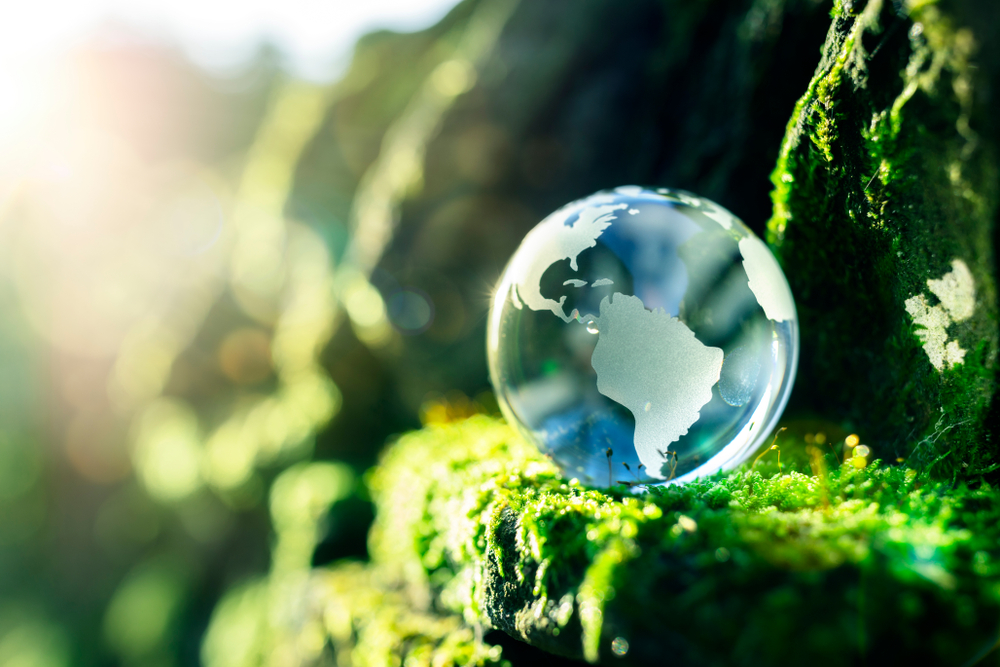 Five things to know about the Climate Change Levy
