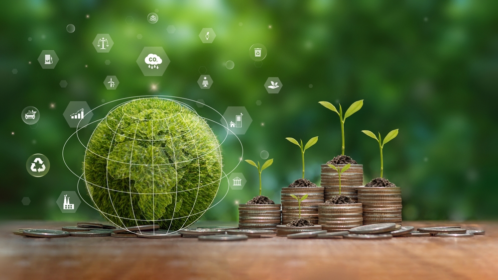 Your guide to the Budget 2024 on VAT and Environment taxes