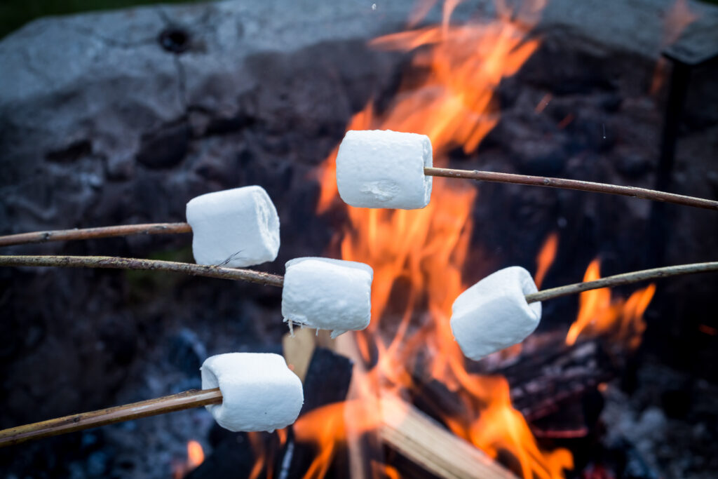 Mega Marshmallows Prove That Size Matters