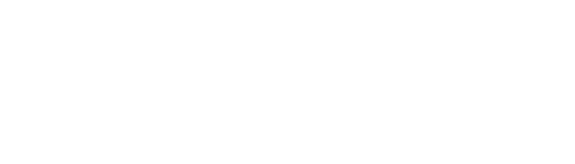 Xeinadin Audit