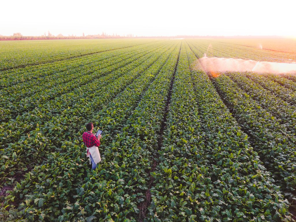 Capital Grant Applications Reopen for Farmers and Agri‑Businesses