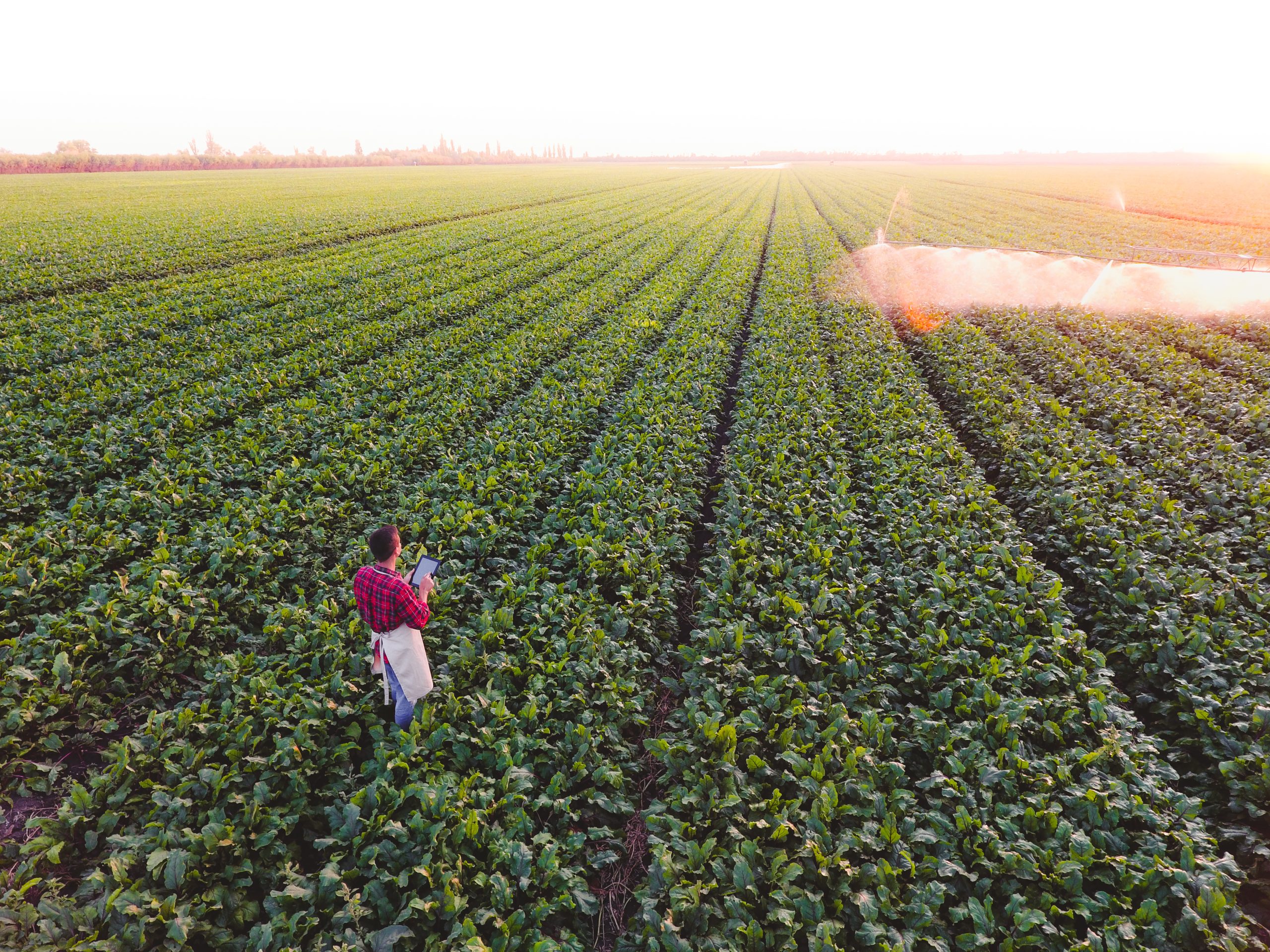 Capital Grant Applications Reopen for Farmers and Agri‑Businesses