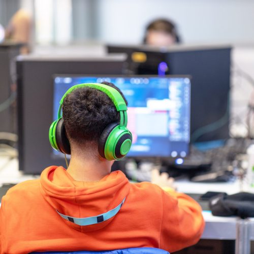 How can Xeinadin Help - Accounting for IT firms, Software Development companies and Video Game creators